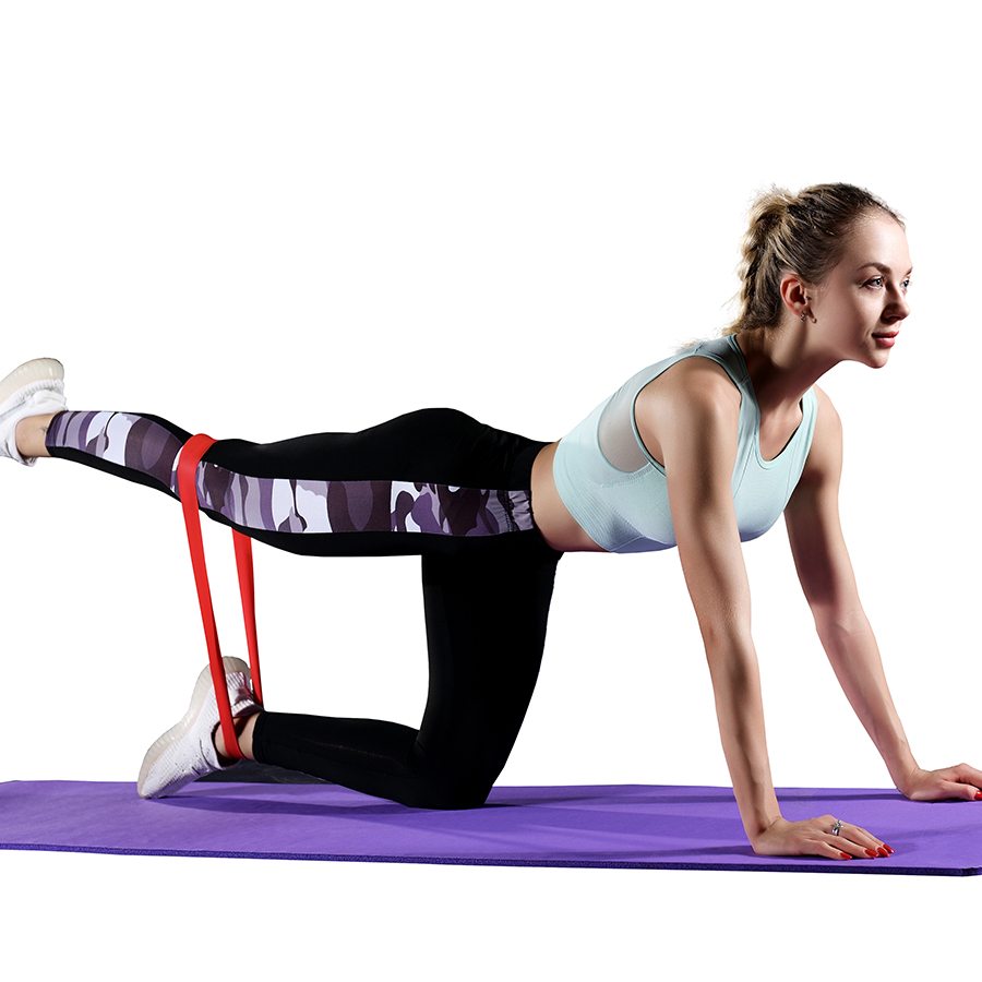 Fitness Resistance Loop Bands  - Pilates Bar Kit With Resistance Bands ulasan dan harga