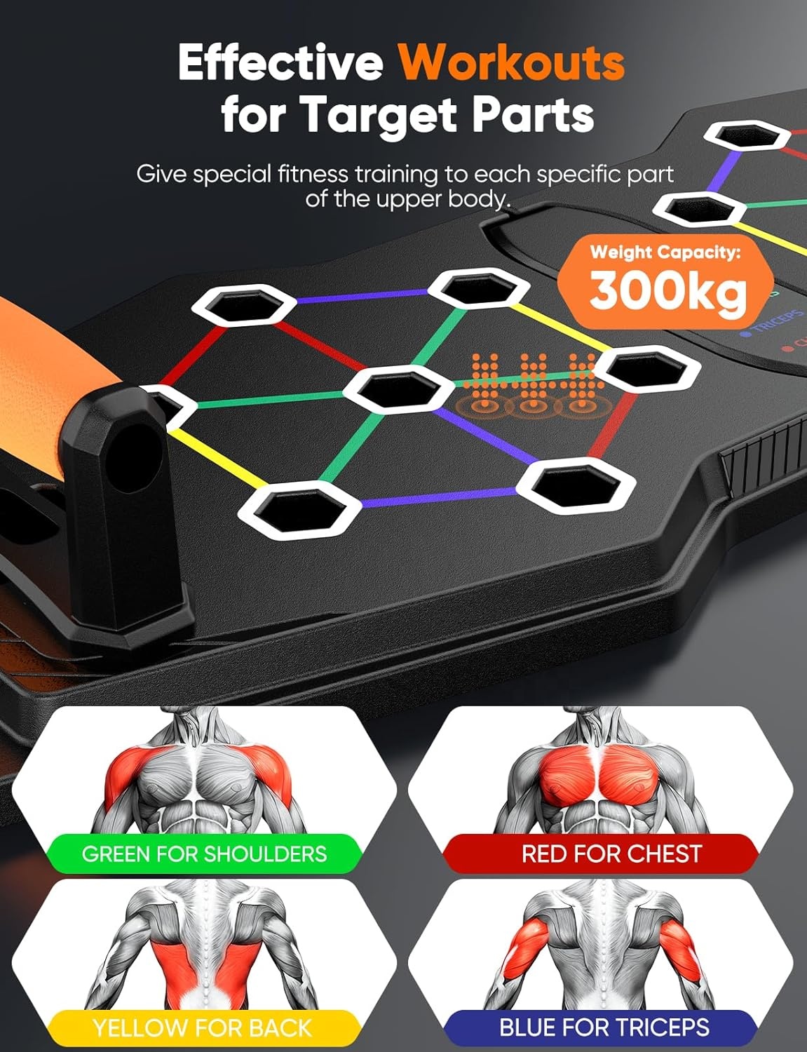Multifunctional Gym Foldable F - Push Up Board Foldable Multi Function ulasan dan harga